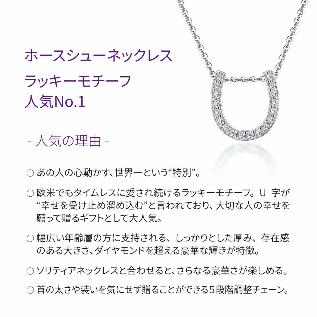 0.27ct モアサナイト ホースシュー パヴェ ネックレス シルバー925