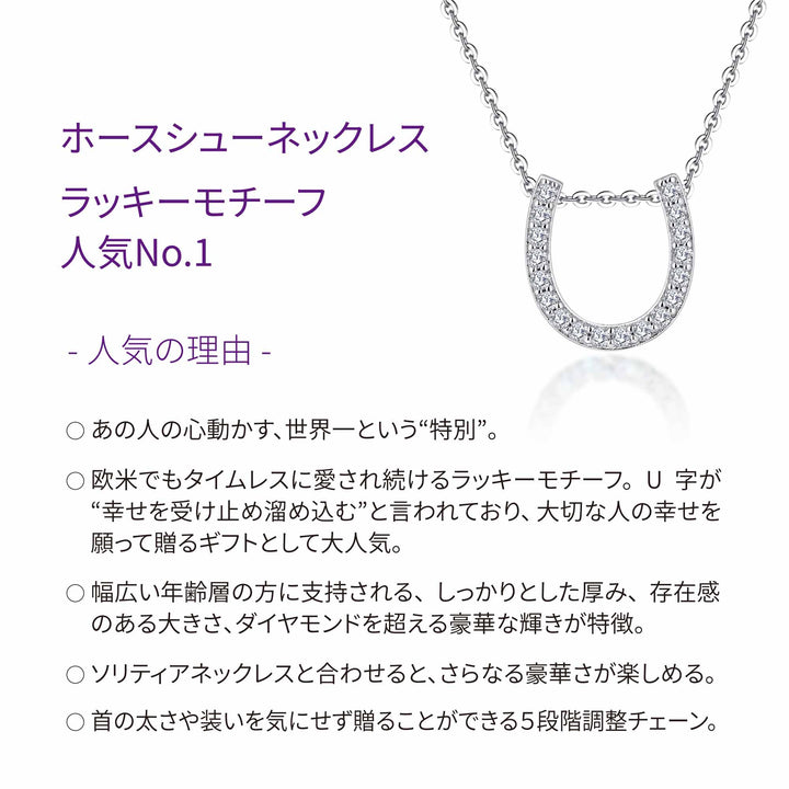 0.27ct モアサナイト ホースシュー パヴェ ネックレス シルバー925